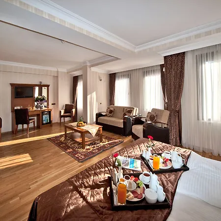 Hotel The Byzantium & Istanbulská provincie