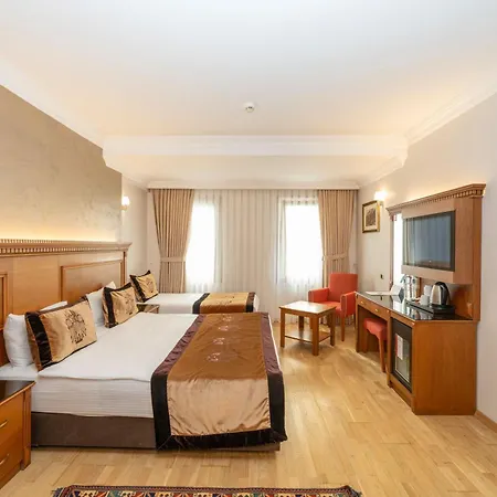 The Byzantium & Hotel Estambul